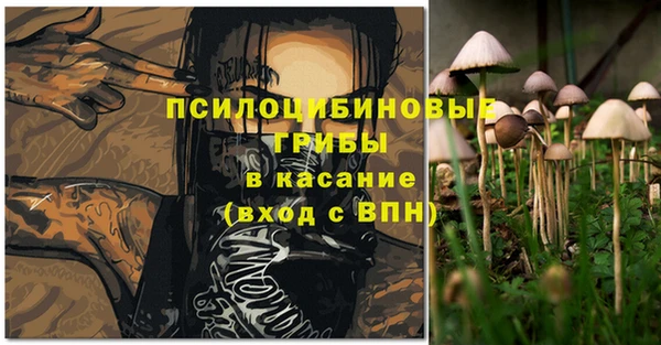 СК Нефтекумск